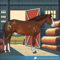 Horse Color:Liver Chestnut Splash 