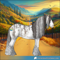 Horse Color:Buckskin Sabino Splash 