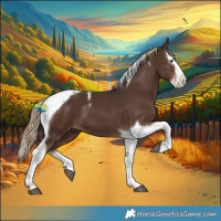 Horse Color:Liver Chestnut Splash Tobiano 