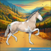 Horse Color:Chocolate Palomino Pearl Splash Tobiano Rabicano