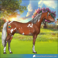 Horse Color:White Spotted Silver Brown Tobiano 
