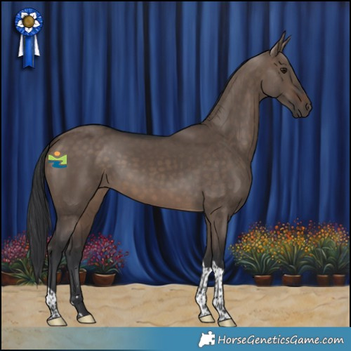 Horse Color:Brown Dun Tobiano 