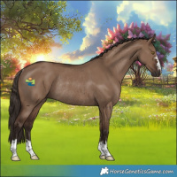 Horse Color:Liver Red Dun Rabicano 