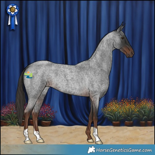 Horse Color:Liver Red Roan 