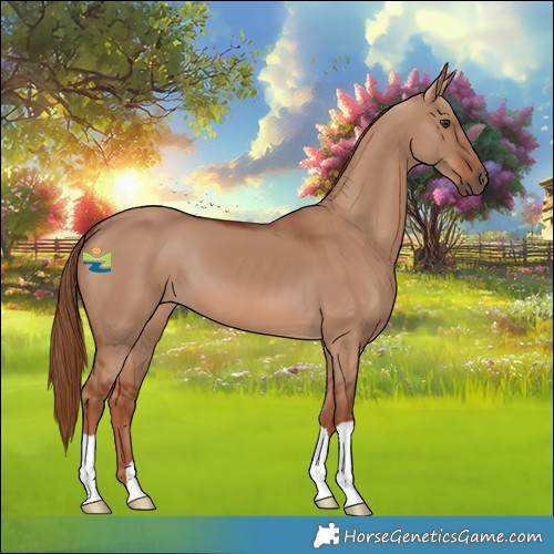 Horse Color:Red Dun 