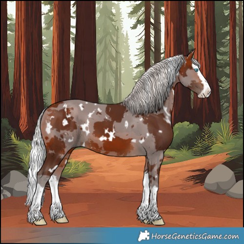 Horse Color:White Spotted Silver Bay Merle Splash 