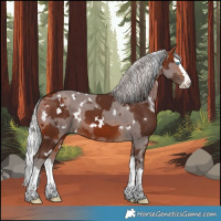 Horse Color:White Spotted Silver Bay Merle Splash