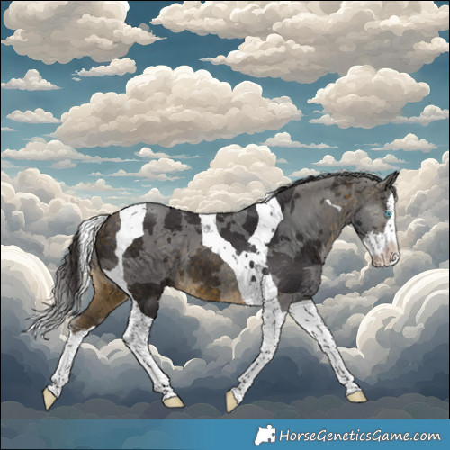 Horse Color:Buckskin Merle Splash Tobiano