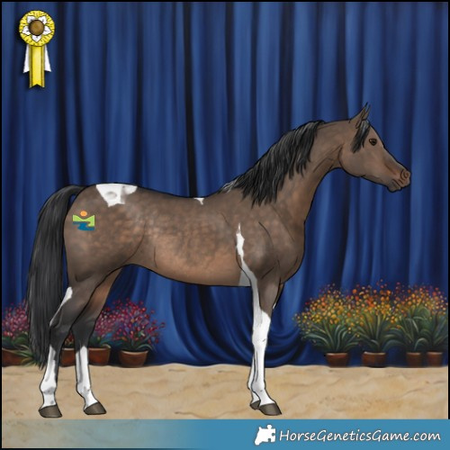 Horse Color:Brown Dun Tobiano Rabicano 