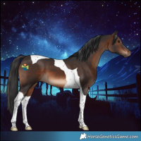 Horse Color:Brown Tobiano 