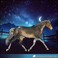 Horse Color:Silver Buckskin Tobiano Rabicano 