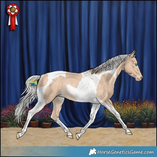 Horse Color:Silver Perlino Tobiano Rabicano