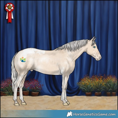 Horse Color:Silver Perlino Dun Tobiano Appaloosa Rabicano 