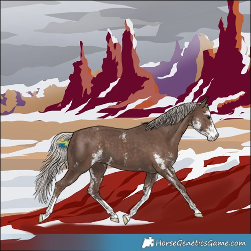 Horse Color:Silver Black Sabino 