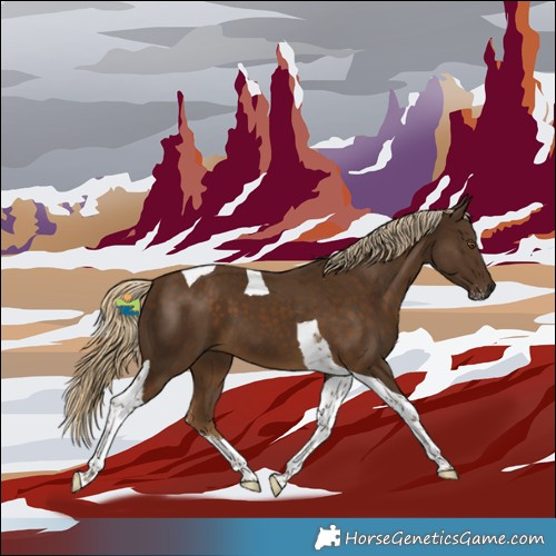 Horse Color:Chocolate Palomino Sabino Tobiano 