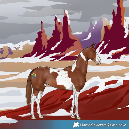 Horse Color:Chestnut Sabino Tobiano 