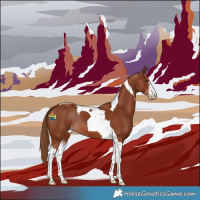 Horse Color:Chestnut Sabino Tobiano 