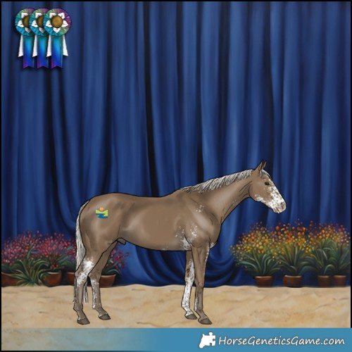 Horse Color:Silver Smoky Black Sabino 