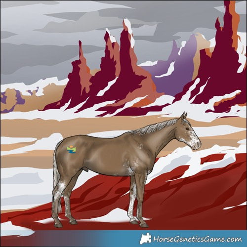 Horse Color:Silver Smoky Black Sabino 