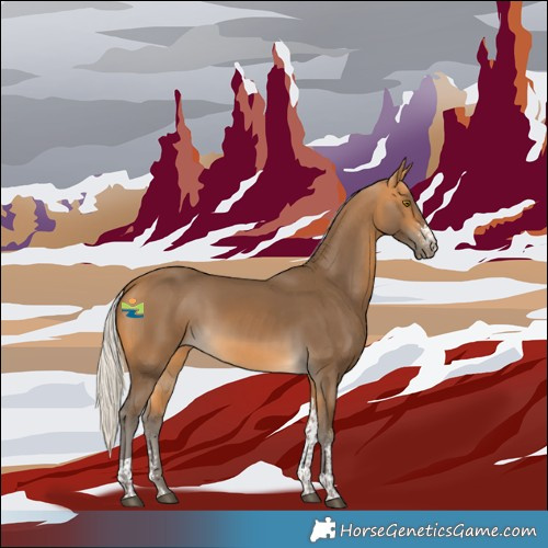 Horse Color:Silver Buckskin Sabino Tobiano 