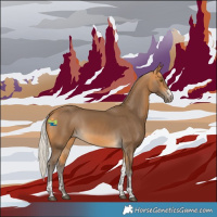 Horse Color:Silver Buckskin Sabino Tobiano