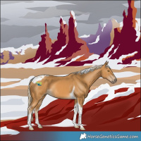 Horse Color:Palomino Tobiano 