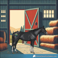 Horse Color:Black Sabino Tobiano
