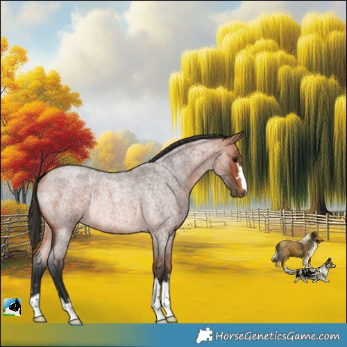 Horse Color:Bay Roan Rabicano