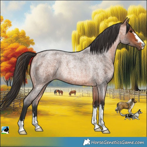 Horse Color:Bay Roan Rabicano 