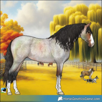 Horse Color:Bay Roan Rabicano 