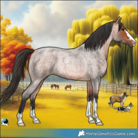 Horse Color:Bay Roan Rabicano 