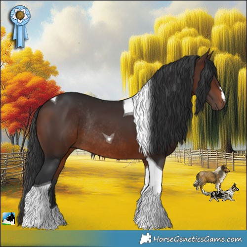 Horse Color:Brown Tobiano Rabicano 