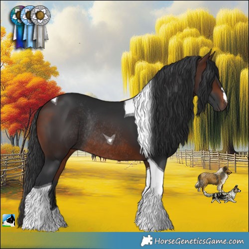 Horse Color:Brown Tobiano Rabicano 