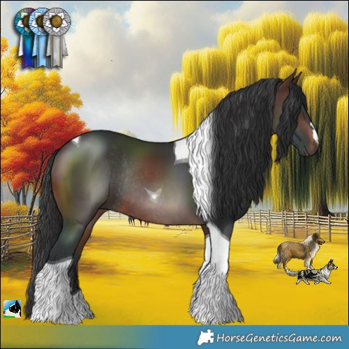 Horse Color:Brown Tobiano Rabicano 