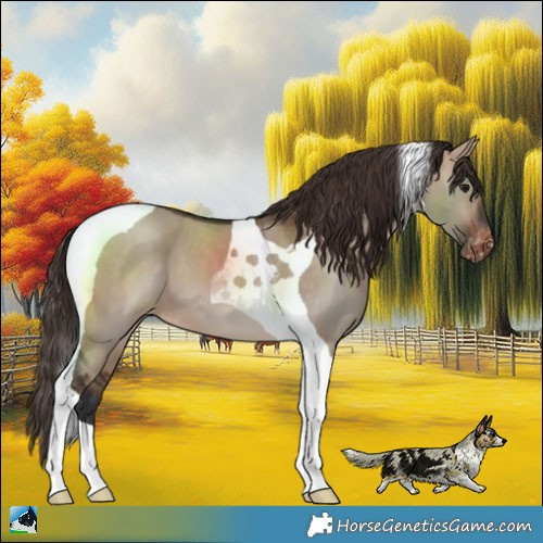 Horse Color:Brown Dun Tobiano Varnish 