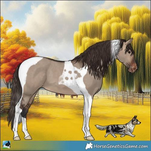 Horse Color:Brown Dun Tobiano Varnish 
