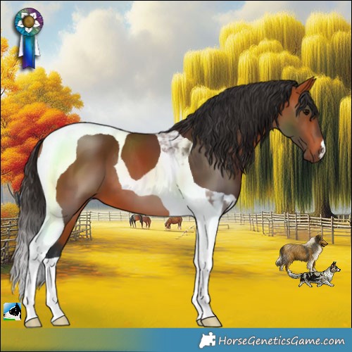 Horse Color:Bay Tobiano 