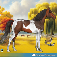 Horse Color:Bay Tobiano 
