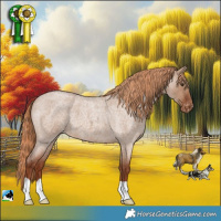 Horse Color:Red Dun Roan Blanket 