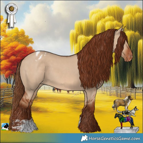 Horse Color:Red Dun Appaloosa 