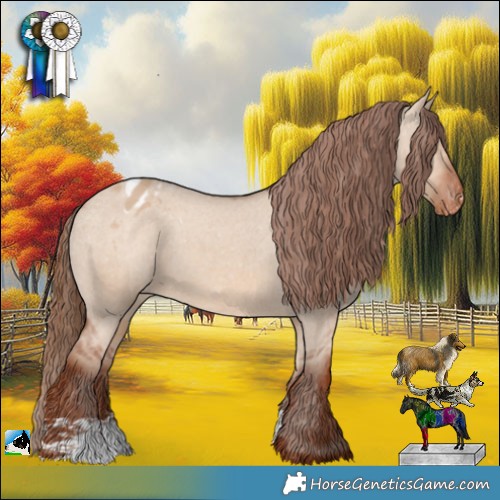 Horse Color:Red Dun Appaloosa 