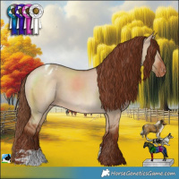 Horse Color:Red Dun Varnish 