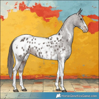 Horse Color:Liver Chestnut Sabino Tobiano Blanket 