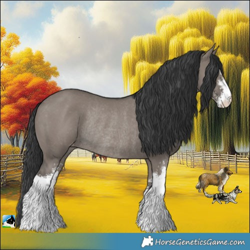 Horse Color:Grullo Sabino Appaloosa Rabicano