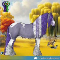 Horse Color:Watercolor Grullo Sabino Tobiano Rabicano 