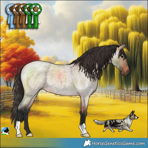 Horse Color:Bay Roan Dun 