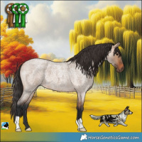 Horse Color:Bay Roan Dun