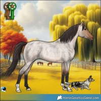 Horse Color:Bay Roan Dun
