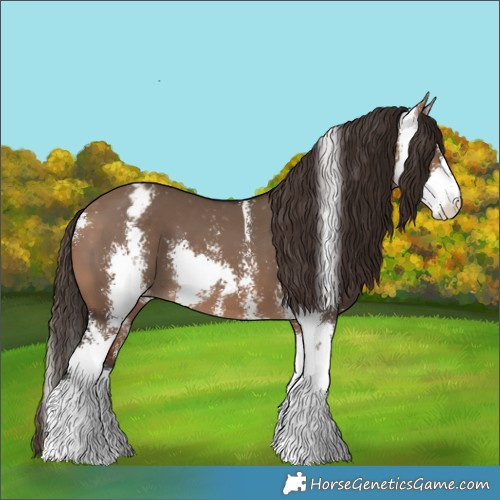 Horse Color:Bay Dun Sabino Varnish 