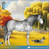 Horse Color:Gray Black Sabino Rabicano